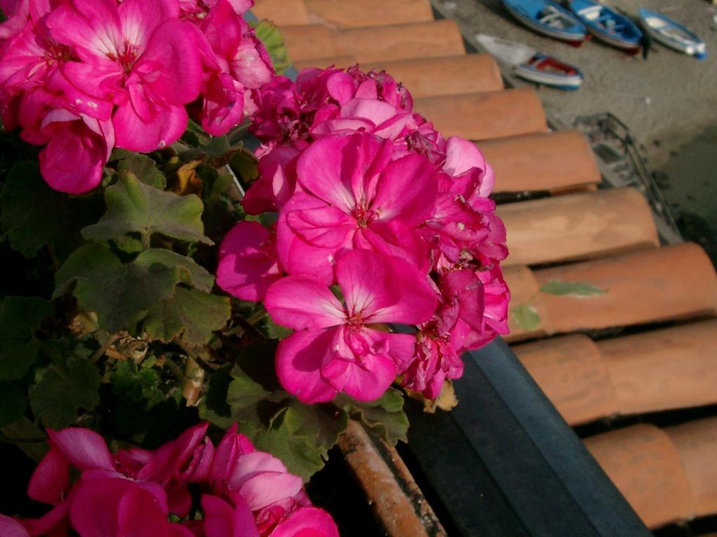 Hotel La Riva Giardini Naxos Eksteriør billede